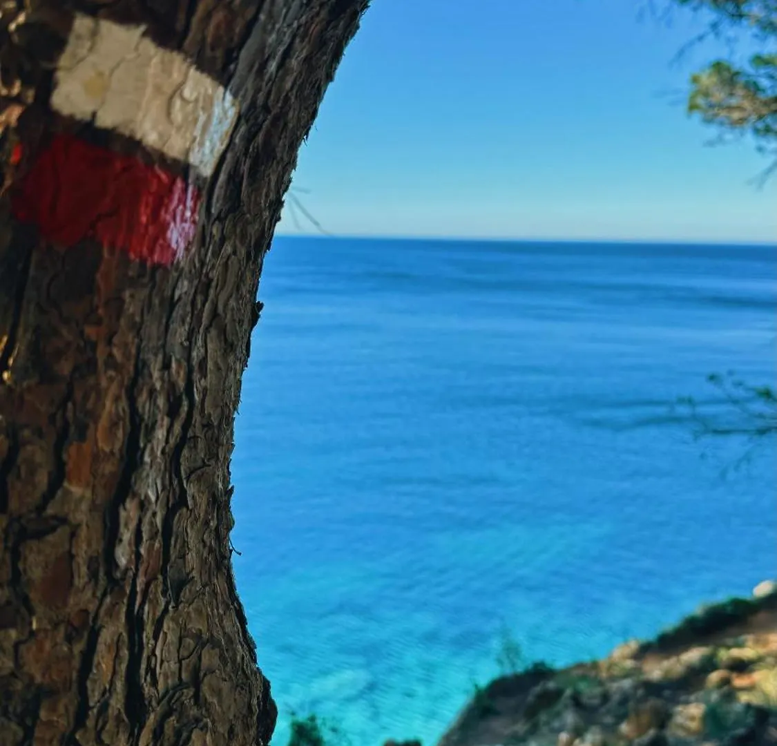 Can Romy Appartement T3 B - A 20M De La Plage De Cala Montgo L' Escala Apartament